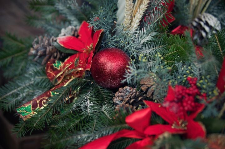 Season's greetings! - Pexels/Odalv